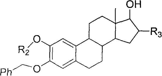 General structure of the steroid parent nucleus featuring the 2-methoxy-3-benzyloxy substitution pattern on the A-ring