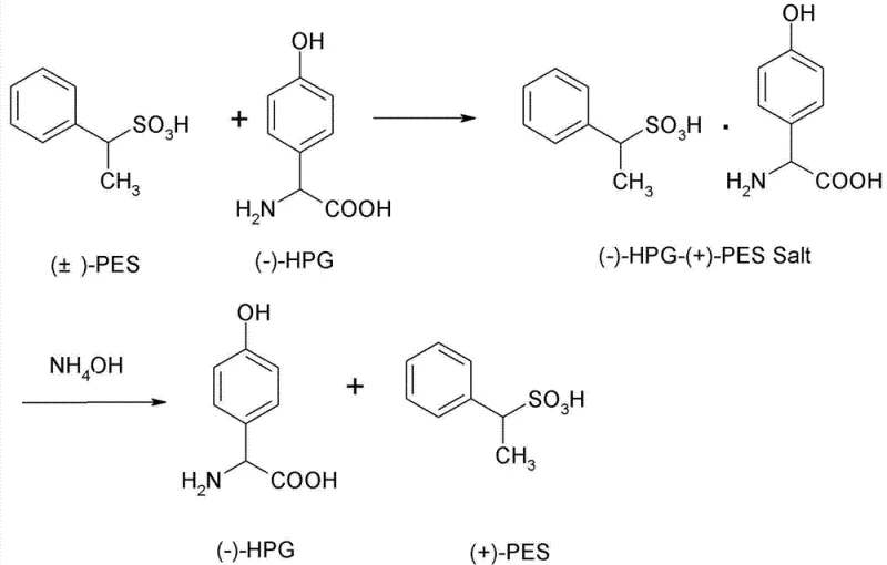 Reaction scheme showing the resolution of racemic ethyl benzene sulfonic acid using L-p-hydroxyphenylglycine to form a diastereomeric salt