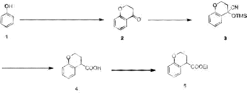 Reaction scheme showing the conversion of phenol to ethyl chromane-4-formate via Friedel-Crafts acylation, cyanation, hydrolysis, and esterification