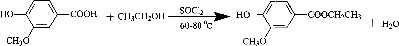 Chemical reaction equation showing the esterification of ferulic acid with ethanol catalyzed by thionyl chloride to form ethyl ferulate