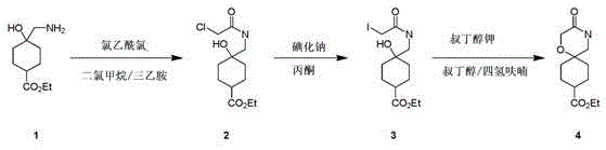Three-step synthesis route of ethyl-3-oxalidene-1-oxa-4-azaspiro undecane derivative showing N-acylation, iodination, and cyclization