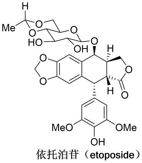 Chemical structure of Etoposide showing the podophyllotoxin core and glucoside moiety