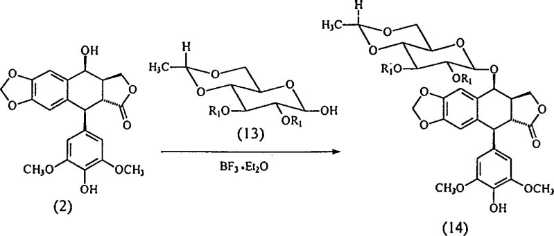 Reaction scheme showing the condensation of compound 2 and 13 to form intermediate 14 using TMSOTf