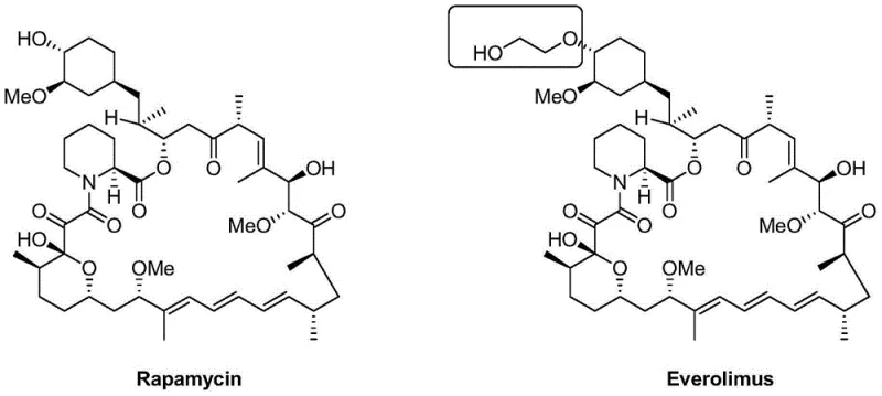 Chemical structure comparison between Rapamycin and Everolimus showing the 40-O-(2-hydroxyethyl) modification