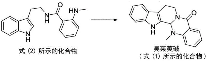 Catalytic cyclization mechanism converting intermediate compound to evodiamine via acid-catalyzed formylation and base-mediated ring closure