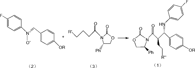 General reaction scheme showing nitrone and carbonyl condensation catalyzed by Lewis acid