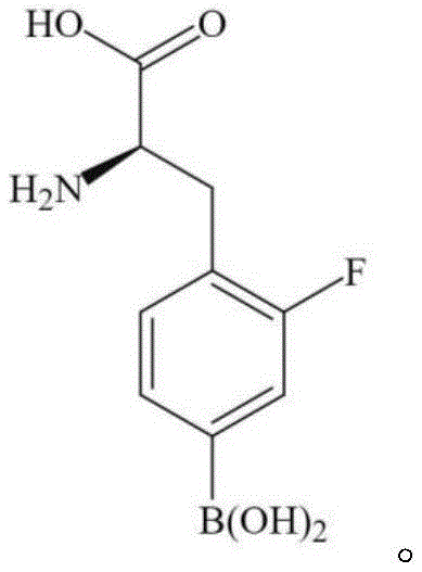 Chemical structure of the final product F-BPA (2-fluoro-4-borono-L-phenylalanine)