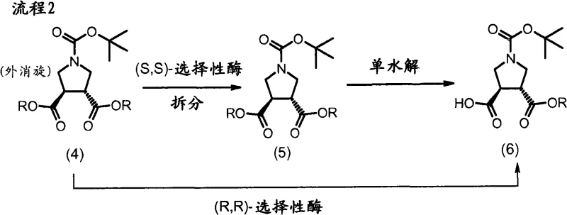 Enzymatic resolution pathway for pyrrolidine diester