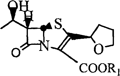 Chemical structure of Faropenem and its inorganic salts used as core substrates