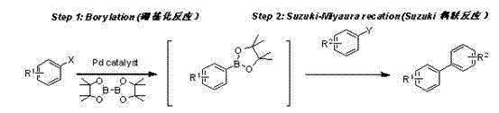 General reaction scheme showing the one-pot borylation and Suzuki-Miyaura coupling process