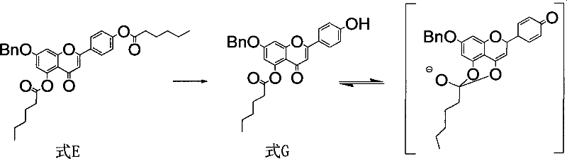 Mechanism of enol interconversion locking the 5-ester group during hydrolysis