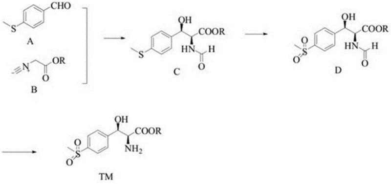 Novel catalytic synthesis route for florfenicol intermediates showing high efficiency and reduced steps