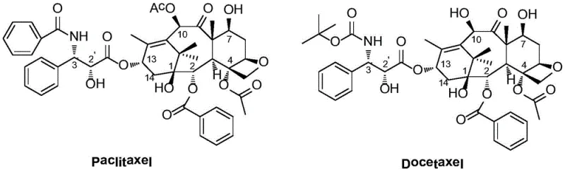 Comparison of Paclitaxel and Docetaxel chemical structures highlighting the need for improved derivatives