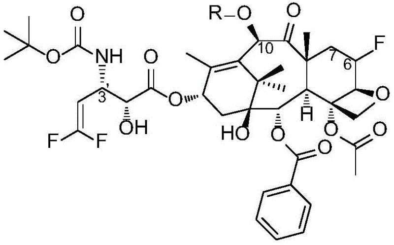 General structural Formula I of the novel fluorinated taxane compounds