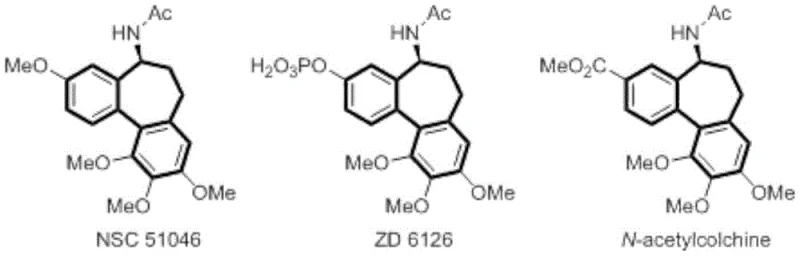 Chemical structures of colchicine analogs NSC 51046, ZD 6126, and N-acetylcolchicine showing the dibenzocycloheptane core
