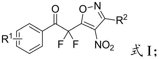 General chemical structure of Formula I showing the core fluoroalkyl-substituted isoxazole scaffold