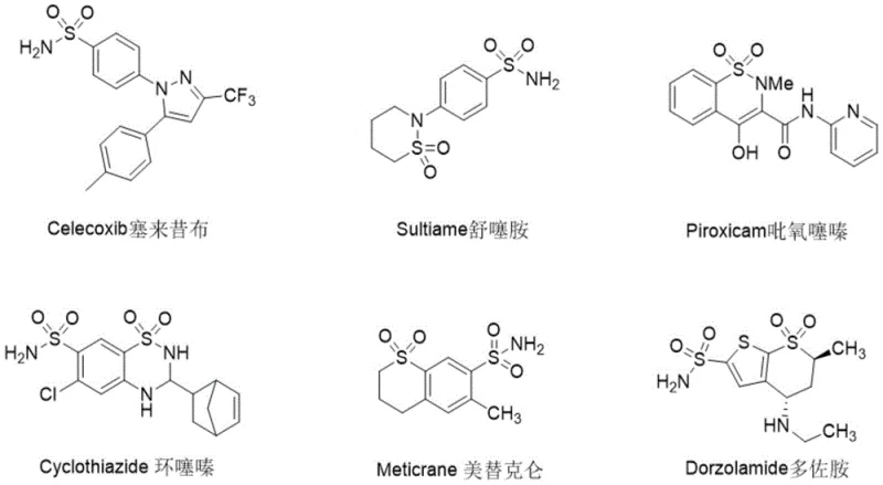Examples of commercially important sulfonamide drugs including Celecoxib and Piroxicam
