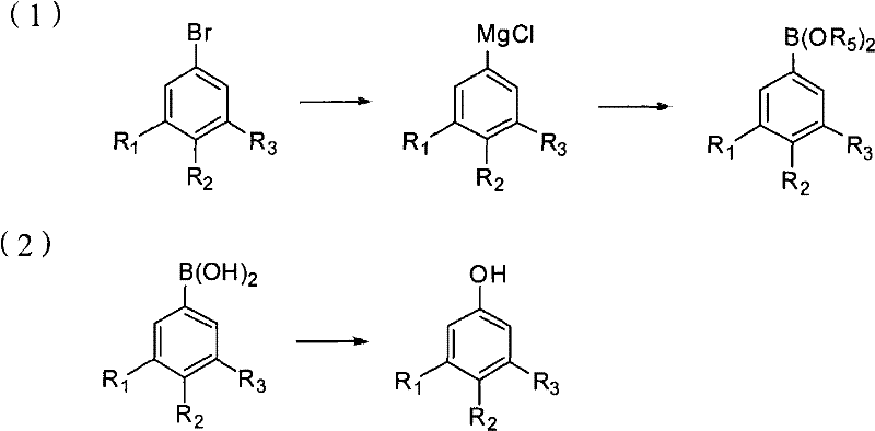 Overall synthetic route showing the conversion from fluorobromobenzene to fluorophenol via Grignard and boration steps