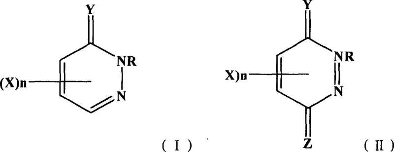 General chemical structures of halogenated pyridazinone precursors (I and II) used in the synthesis