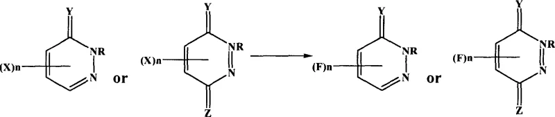 Reaction scheme showing the conversion of halogenated pyridazinone to fluoropyridazinone using metal fluoride