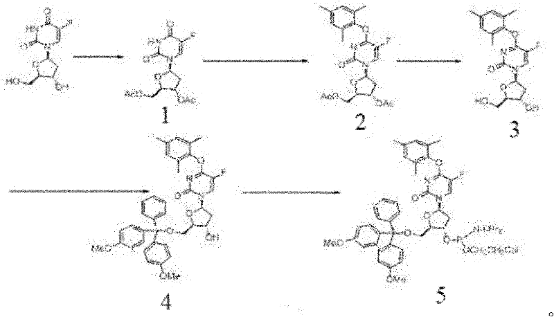 Complete synthetic route from 5-fluoro-2'-deoxyuridine to the final phosphoramidite derivative showing acetylation, mesityl ether formation, deprotection, DMT protection, and phosphitylation steps