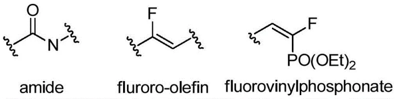 Structural comparison of amide, fluoro-olefin, and fluorovinylphosphonate bioisosteres