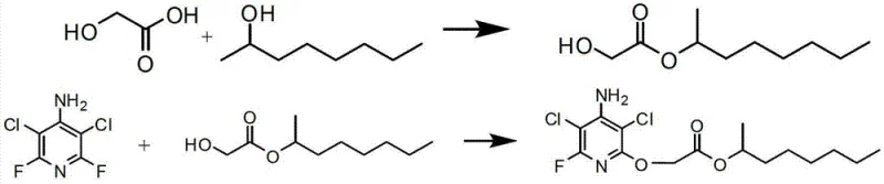 Reaction scheme showing the one-pot synthesis from glycolic acid and octanol to the final ester product