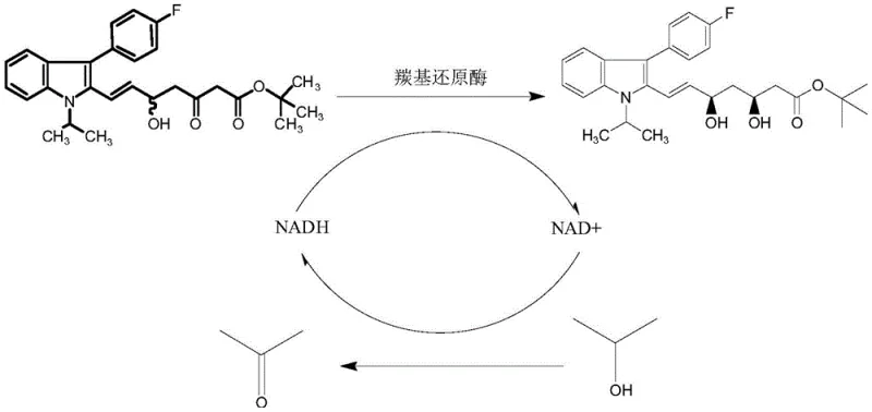 Enzymatic reaction scheme showing NADH cofactor regeneration cycle