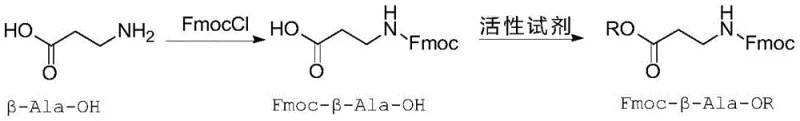 Preparation pathway of the Fmoc-beta-Ala-OR activated ester precursor from beta-alanine