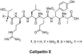 Chemical structure of Callipeltin E showing the complex peptide backbone requiring specialized intermediates