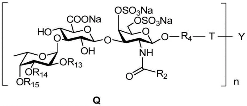 General formula Q structure of fucosylated chondroitin sulfate oligosaccharide clusters