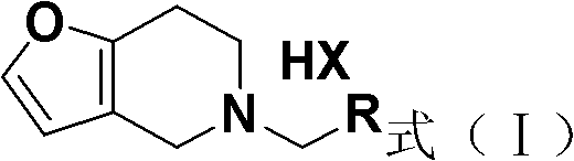 General structure of substituted furo-piperidine derivatives Formula I