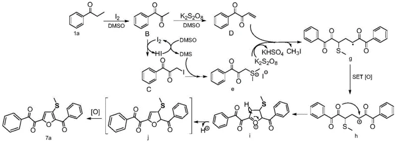 Proposed reaction mechanism (Equation 3) detailing the radical pathway involving DMSO activation and intramolecular cyclization