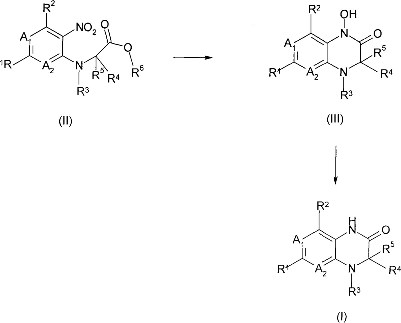 General reaction scheme showing the conversion of nitro compound (II) to hydroxyl intermediate (III) and final product (I)