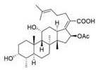 Chemical structure of Fusidic Acid showing the steroid backbone and side chain