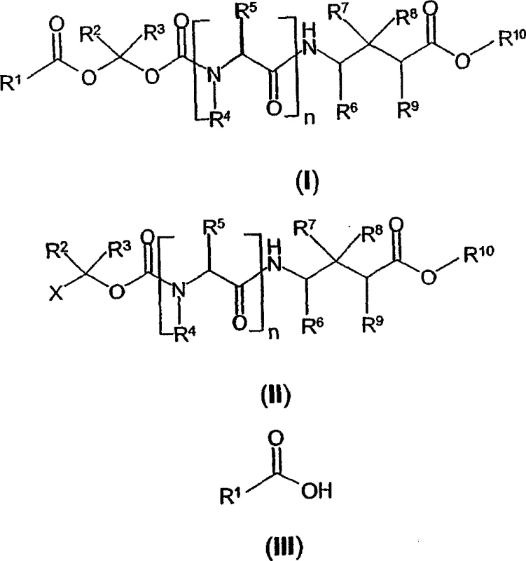 General structural formula of 1-(acyloxy)-alkyl carbamates of GABA analogs showing variable substituents R1 through R10