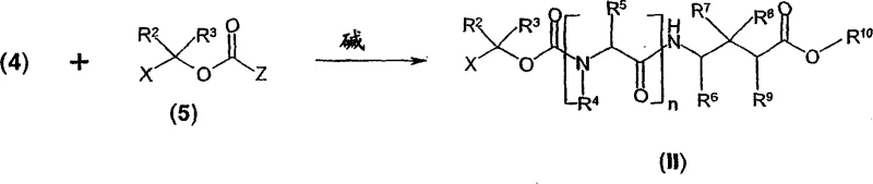 Scheme 3 showing the acylation of amine intermediate (4) with compound (5) to form 1-haloalkyl carbamate (II)