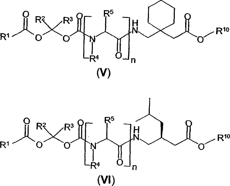 Specific structures of GABA analog prodrugs including Gabapentin and Pregabalin derivatives (Formula V and VI)