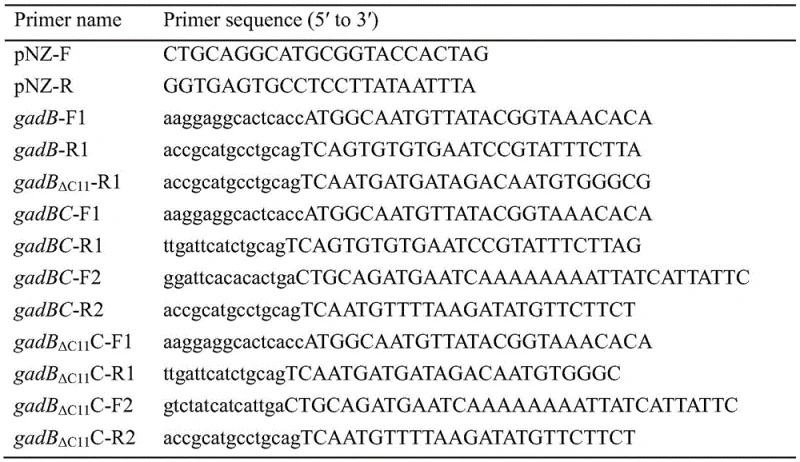 Structural simulation of GadB showing C-terminal domain characteristics and active center conserved residues