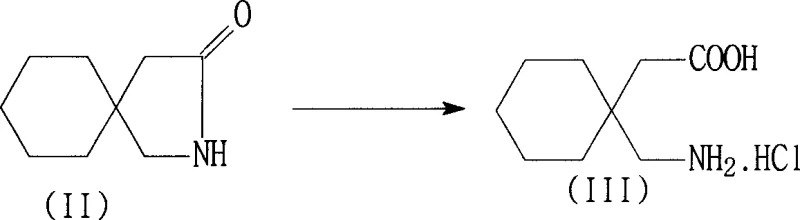 Hydrolysis of 3,3-pentylidene butyrolactam to Gabapentin salt using mineral acid
