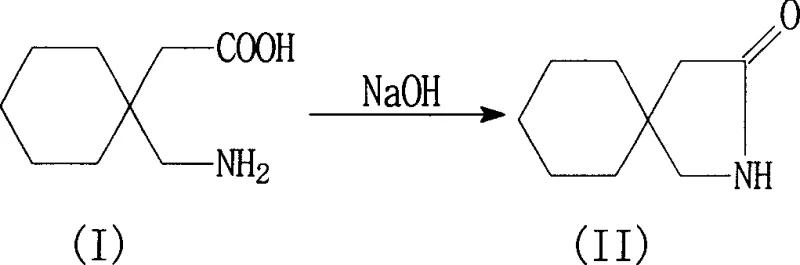 Recovery of 3,3-pentylidene butyrolactam from mother liquor for recycling