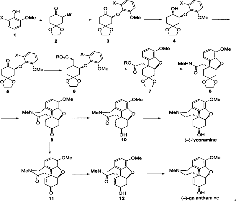 Overall asymmetric synthesis reaction scheme for galanthamine and lycoramine showing key transformation steps