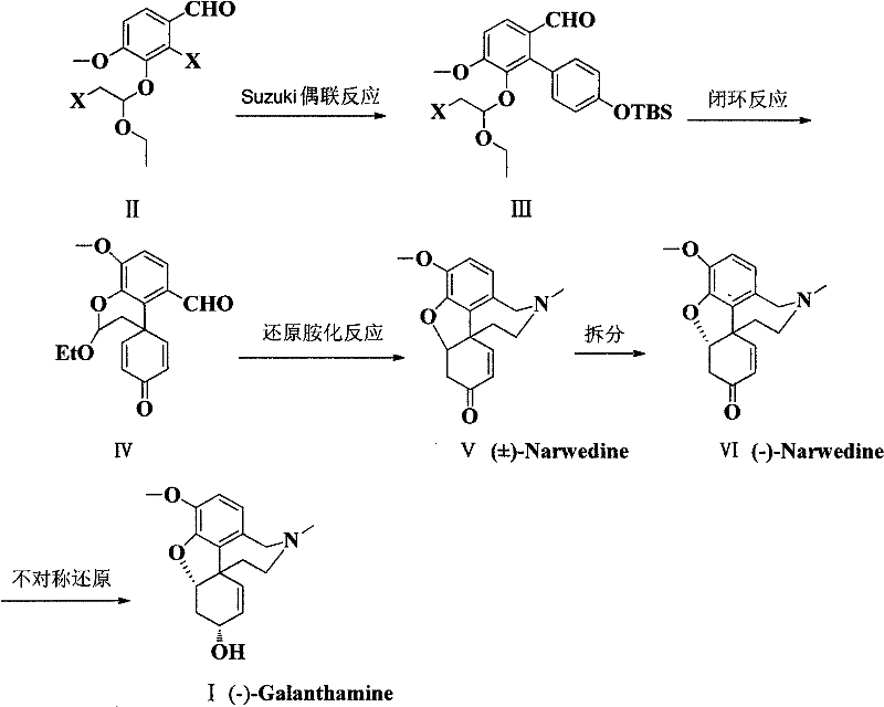 Overall synthetic route from benzaldehyde derivative to Galanthamine via Suzuki coupling and cyclization
