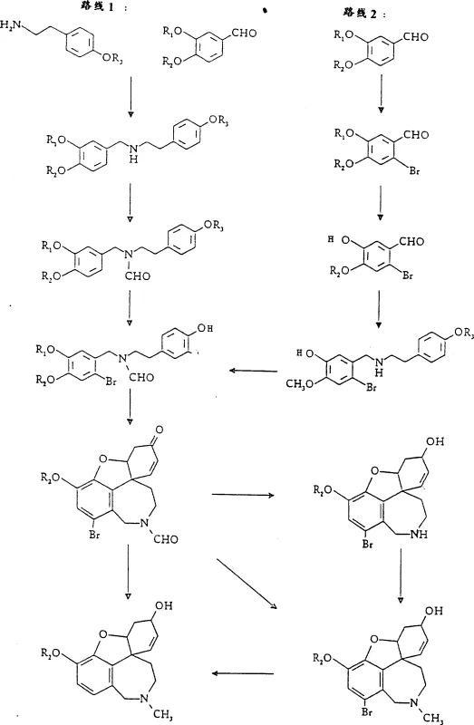 Overall reaction scheme showing the conversion of precursors to Galanthamine derivatives via bromine intermediates
