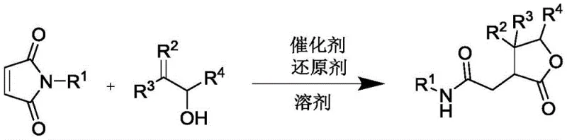 General reaction scheme showing N-substituted maleimide reacting with allyl alcohol to form polysubstituted gamma-butyrolactone