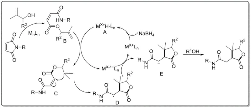 Proposed catalytic cycle mechanism showing metal-hydride species interacting with substrates