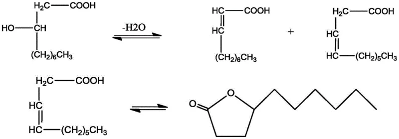 Reaction scheme showing dehydration of 3-hydroxydecanoic acid to unsaturated acids and subsequent cyclization to gamma-decalactone