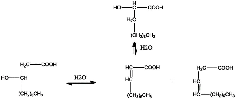 Equilibrium diagram illustrating hydration and dehydration pathways between hydroxy acids and unsaturated decenoic acids