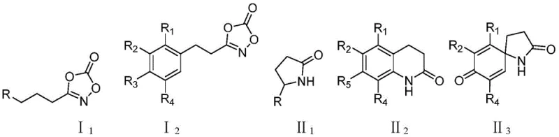 General reaction scheme showing intramolecular C-H amination of dioxazolones to form lactams