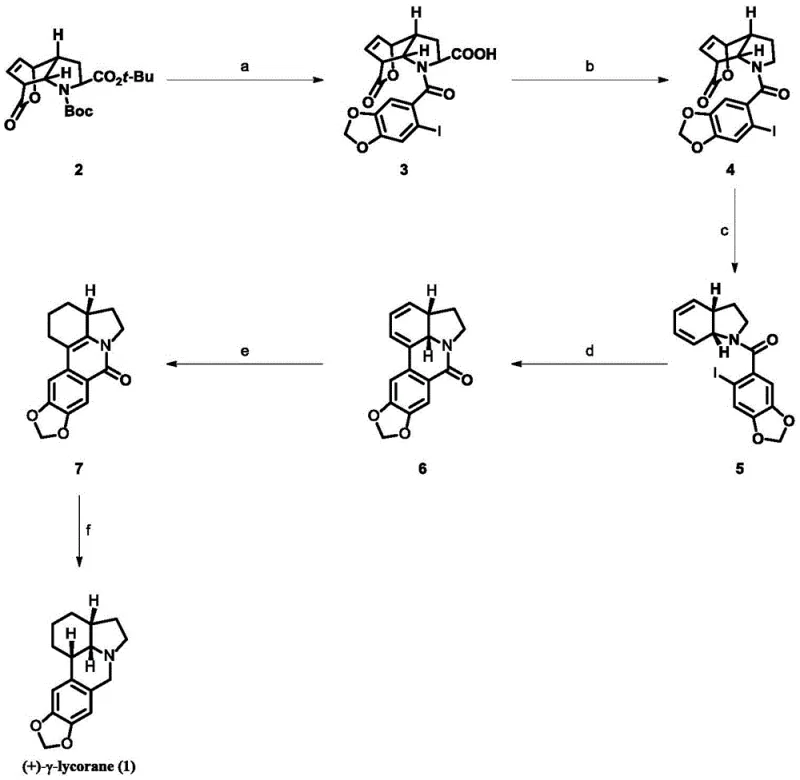 Overall reaction scheme for the asymmetric synthesis of (+)-γ-lycorane from chiral lactone
